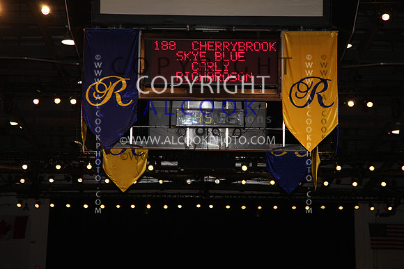 C_487_RC11