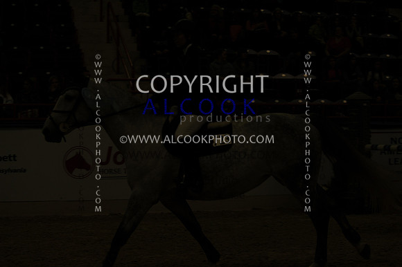 22c176-CAM2_199_PN11
