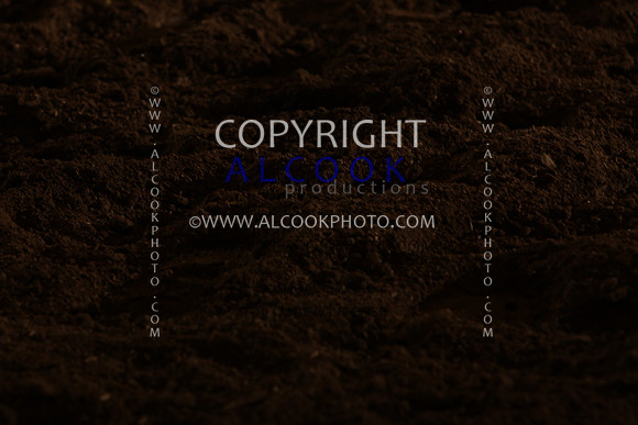 INC12_B0399
