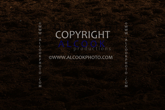 INC12_B0461