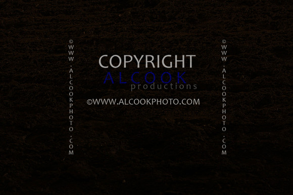 INC12_A182