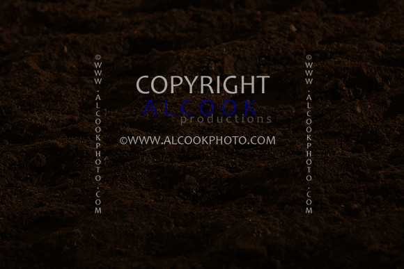 INC12_B0448