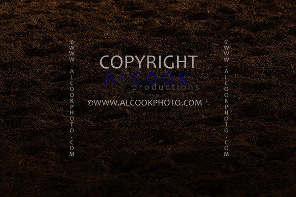 INC12_B0469