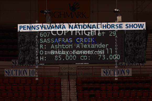 15c9-10_077_PN11