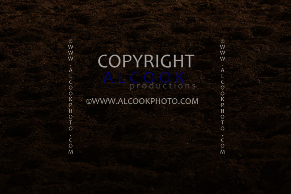 INC12_B0454