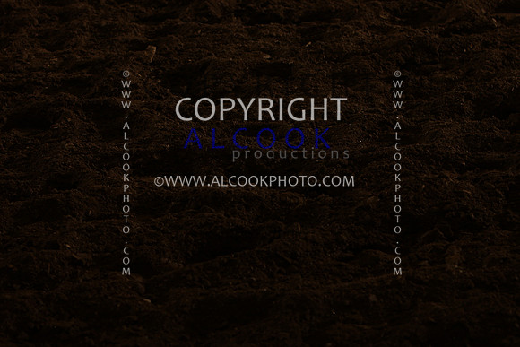 INC12_B0441
