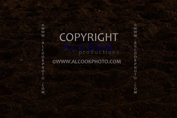 INC12_B0345