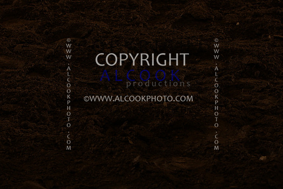 INC12_A230