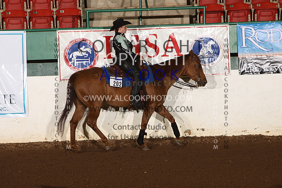 INC12_C0533