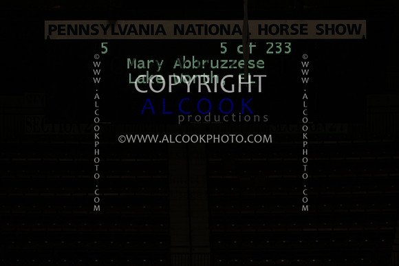 16c46-1_020_PN11