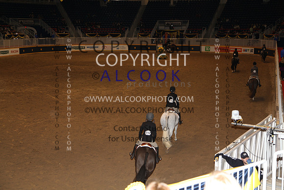 A_317_RC11