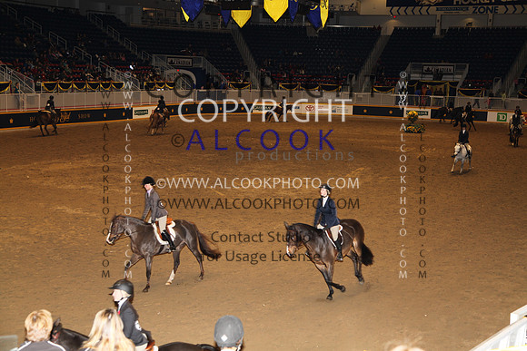 A_319_RC11