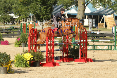 A461_PC22