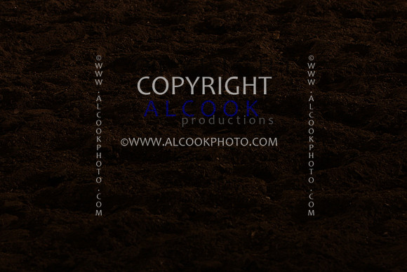INC12_B0486