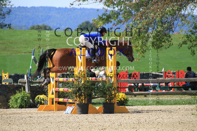 CC534_PJC21