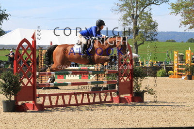 CC533_PJC21
