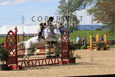 CC559_PJC21