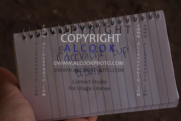 INC12_C0756