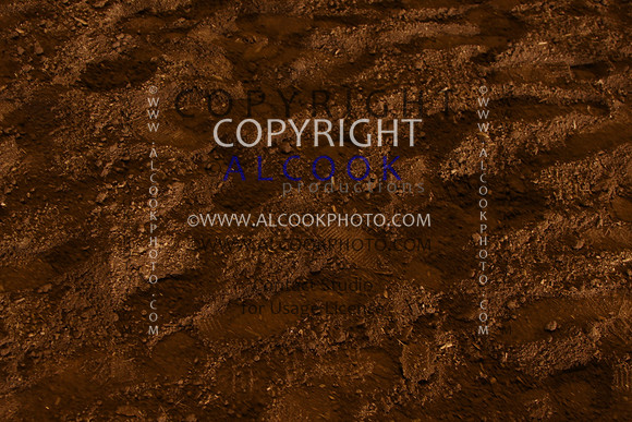 INC12_C0179