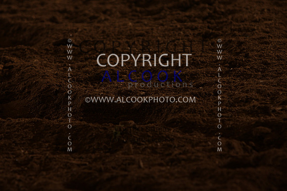 INC12_C0175