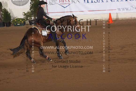 B482_INC13