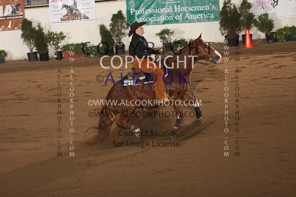 B495_INC13