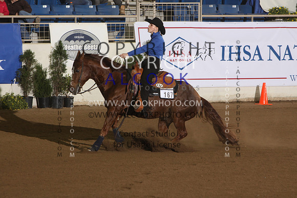 D213_INC13