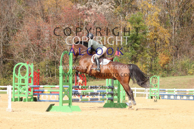 CC095_SWV24