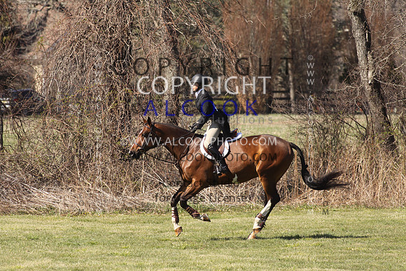 A020_ANRC16