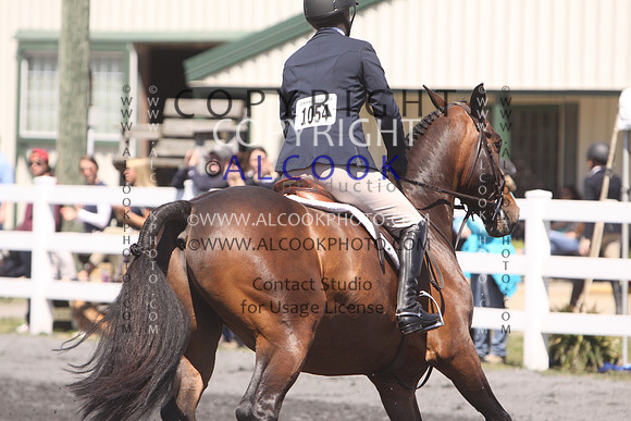 C184_ANRC16