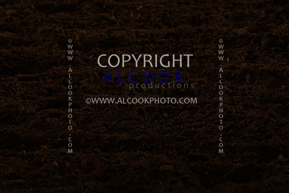 INC12_A224