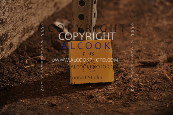 10c32-33_099_PN13