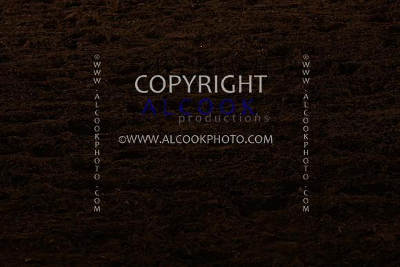 INC12_A253