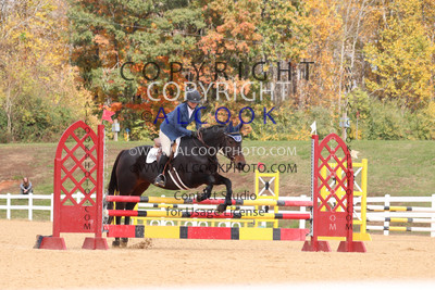 CC087_SWV24