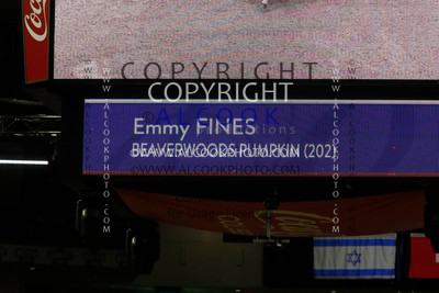 B029_RC23