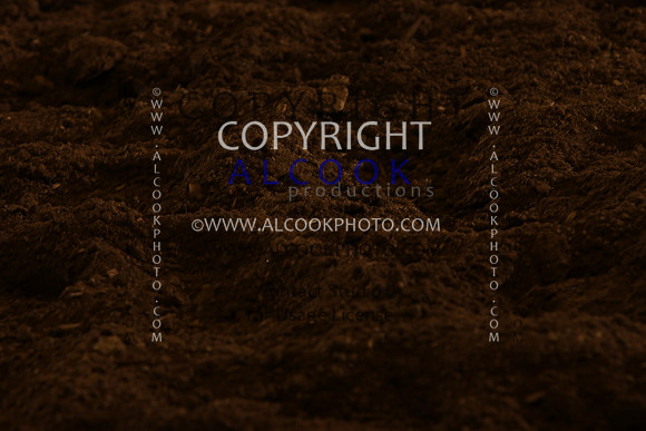 INC12_B0478