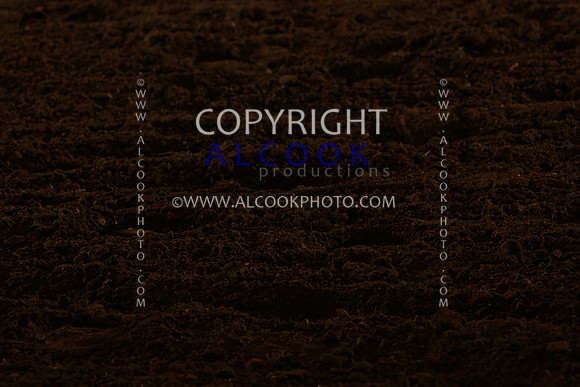 INC12_A208