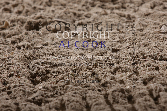 14c235 Cam1_029_PN19