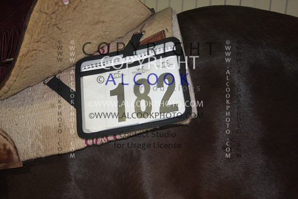 INC12_C0808