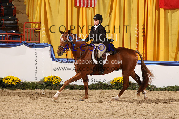 14c231-CAM1_132_PN13