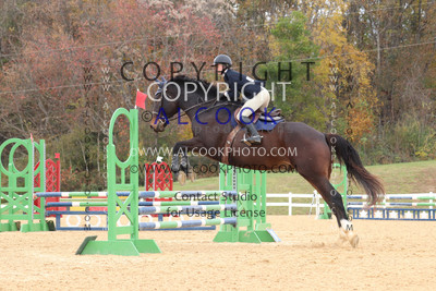 CC094_SWV24