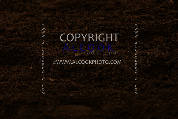 INC12_A237