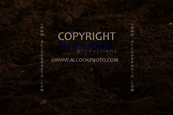 INC12_B0315