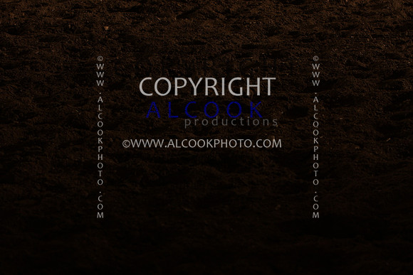 INC12_B0265