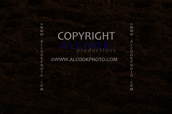 INC12_B0360