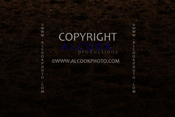 INC12_B0388