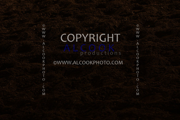 INC12_B0376