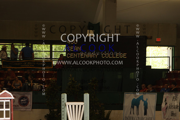 INC12_B0385