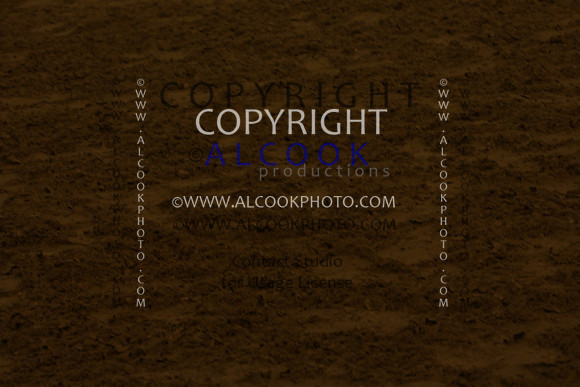 19c226 CAM1_021_pn13