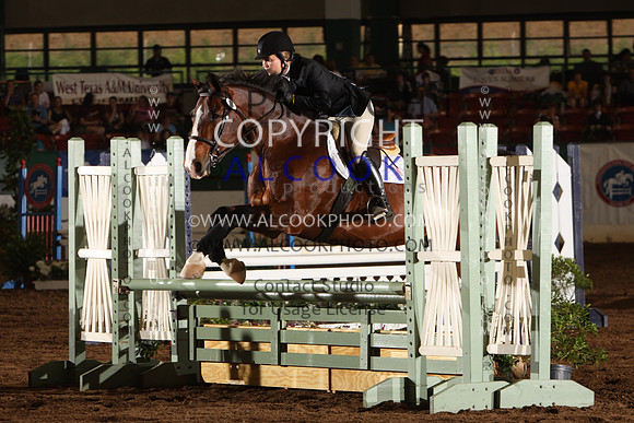 INC12_B0299